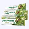 Dabur Herbal Neem Gum Care Toothpaste, 150 gm + Free Toothbrush (Pack Of 2)