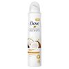 Dove Nourishing Secrets Coconut & Jasmine Flower Anti Perspirant Deo (250ml)