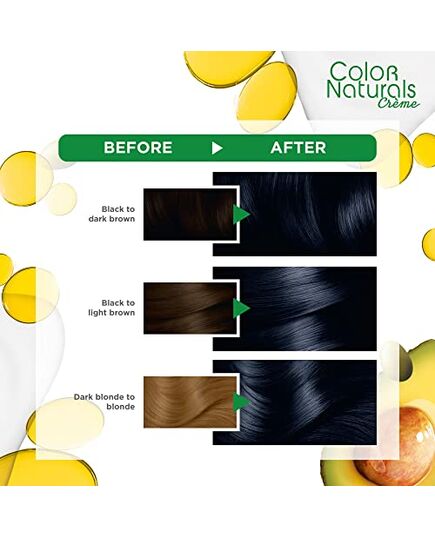 Garnier Color Naturals Permanent Crème Hair Color - 2.1 Blue Black
