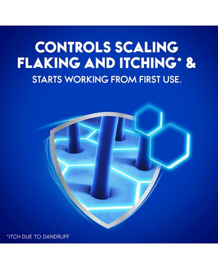 Head & Shoulders Charcoal Detox Anti-Dandruff Shampoo 400 Ml Dual Pack