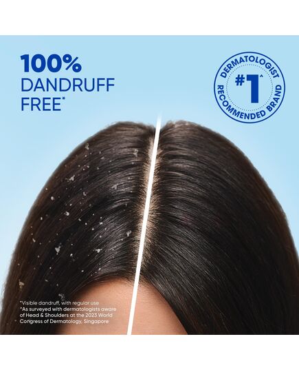Head & Shoulders Menthol Refresh Anti-Dandruff Shampoo with Menthol 400 ml
