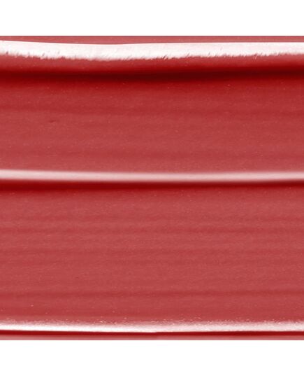 L’Oréal Paris Color Rich Nude Intense Lipstick 179 Nu Decadent