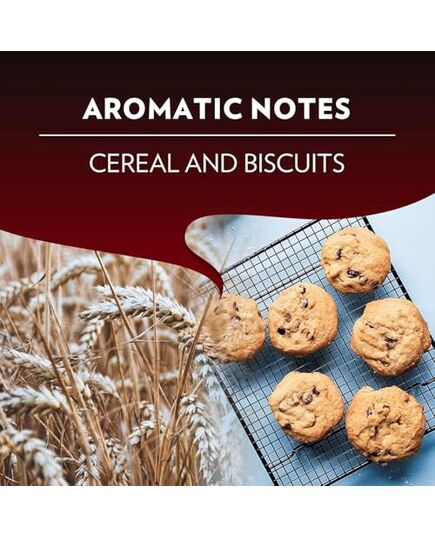 Lavazza Espresso Maestro Classico 100% Arabica intensity 9 Medium Roasting Nespresso Compatible Aluminium Capsules, Zero CO2 Impact, 1 Pack of 10 Capsules