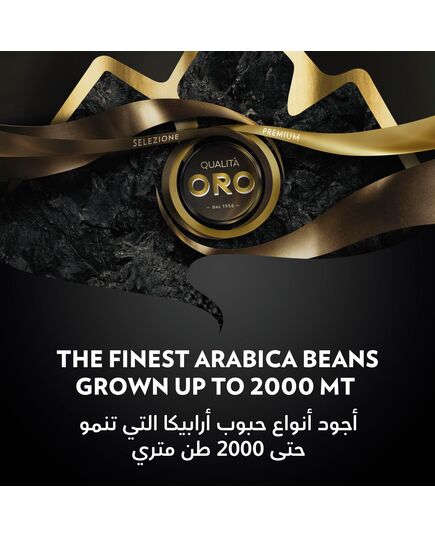 Lavazza Oro Altura Mountain Grown , 250 gm Pack