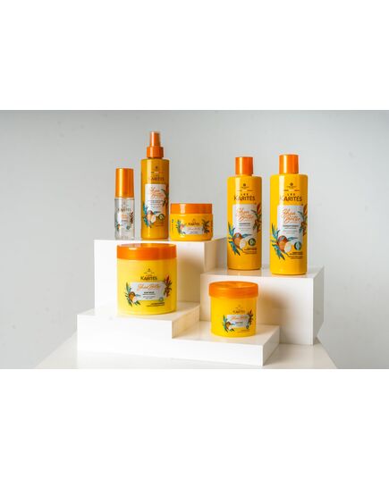 Les Karités Deep Moisturizing Hair Mask (475ml) - Intensive Repair Treatment - Enriched with Shea Butter - 0% Silicone & Paraben - 5 Minute Deep Conditioning