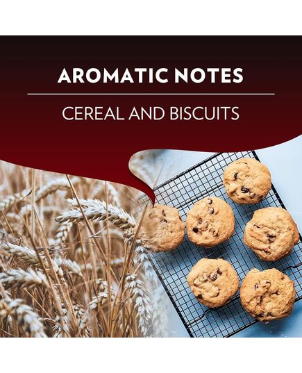 Lavazza Espresso Maestro Classico 100% Arabica intensity 9 Medium Roasting Nespresso Compatible Aluminium Capsules, Zero CO2 Impact, 1 Pack of 10 Capsules