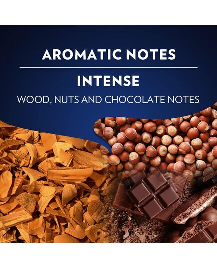 Lavazza Crema e Gusto Ricco Coffee, Arabica and Robusta, Nespresso Original Compatible Aluminum capsules, Pack of 10 capsules