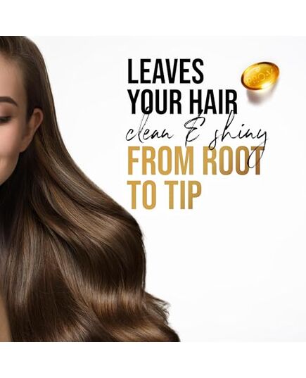 Pantene Pro-V Daily Care 2in1 Shampoo 400 ml