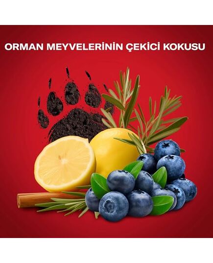 Old Spice Bearglove Deodorant Stick 50 ml