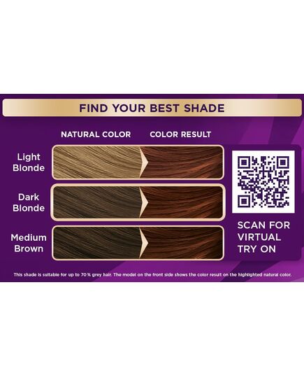 Palette Intensive Color Creme 5-68 Medium Red Chestnut 50 ml