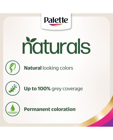 Palette Permenant Natural Colour 6-0 Dark Blonde 50 ml