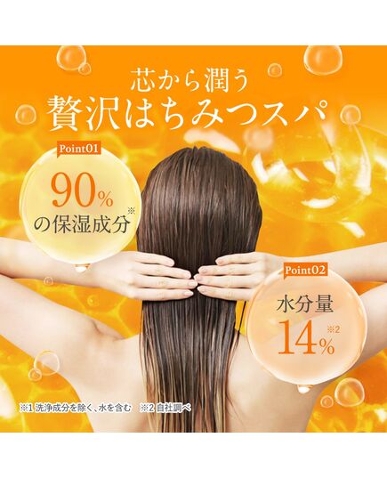 &honey Deep Moist Shampoo and Treatment Pair Set, 15.2 fl oz (440 ml) | Gift Set