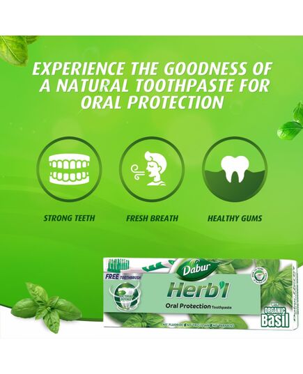 Dabur Herbl Basil Oral Protection Toothpaste (2 x 150g + Toothbrush) | Enriched With Basil | Natural Toothpaste For Healthy Gums & Strong Teeth | Value Pack