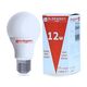 ELSEWEDY Classic LED Bulb E27, 6500 Kelvin, 1150 Lumen (White, 12 Watt, 3 Pieces)
