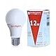 ELSEWEDY LED Bulb E27, (Warm, 3000 Kelvin, 12 Watt)