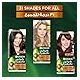 Garnier Color Naturals Permanent Crème Hair Color - 3 Dark Brown
