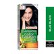 Garnier Color Naturals Permanent Crème Hair Color - 2.1 Blue Black