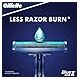 Gillette Blue II Plus Disposable Razors 10 + 2 free Razors