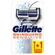 Gillette SkinGuard Sensitive Razor Handle with 2 Blade