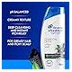 Head & Shoulders Charcoal Detox Anti-Dandruff Shampoo 400 Ml Dual Pack