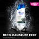Head & Shoulders and Anti-Dandruff Shampoo With Charcoal Detox - 200 ml