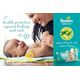 Pampers Baby Dry Taped Diapers, Size 1, 2-5 Kg, with Lotion with Olive Oil, 60 Baby Diapers