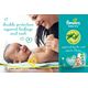 Pampers Baby Dry Taped Diapers, Size 1, 2-5 Kg, with Lotion with Olive Oil, 60 Baby Diapers
