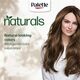 Palette Permenant Natural Colour 6-0 Dark Blonde 50 ml
