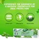Dabur Herbl Basil Oral Protection Toothpaste (2 x 150g + Toothbrush) | Enriched With Basil | Natural Toothpaste For Healthy Gums & Strong Teeth | Value Pack
