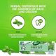 Dabur Herbl Basil Oral Protection Toothpaste (2 x 150g + Toothbrush) | Enriched With Basil | Natural Toothpaste For Healthy Gums & Strong Teeth | Value Pack