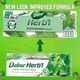 Dabur Herbl Basil Oral Protection Toothpaste (2 x 150g + Toothbrush) | Enriched With Basil | Natural Toothpaste For Healthy Gums & Strong Teeth | Value Pack