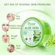 DISAAR BEAUTY Aloe Vera Anti-Acne Gel Cream Mass Sleep-Free Wash Moisturizing Oil, 300ml