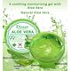 DISAAR BEAUTY Aloe Vera Anti-Acne Gel Cream Mass Sleep-Free Wash Moisturizing Oil, 300ml
